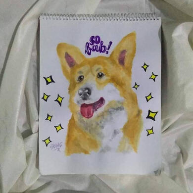 corgi. 2019.